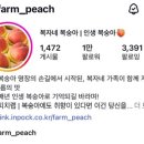 케이비농장 | 복숭아