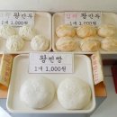 으뜸왕만두찐빵