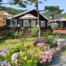 산과 바다사이 이미지