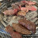 식껍서초