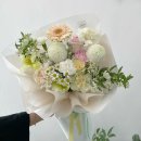 모코코플레르 이미지