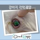 남창미르동물병원 이미지