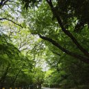 해남 1박 2일(4/30~5/1) 이미지
