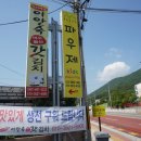 이안숙여수돌산갓김치