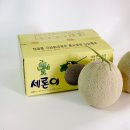 세론 이미지