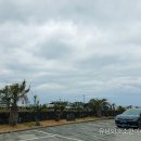 타영 | 제주 귤따기 체험 / 서귀포 예원이네 귤농장에서 즐기는 특별한 여행!