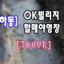 할매야영장 이미지