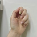 네일보네르 이미지