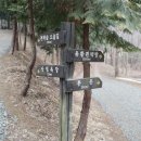 상관 공기마을 편백숲 이미지