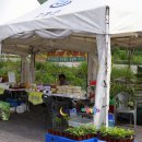 고흥 만남의 광장 이미지