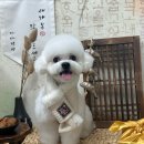 까까 멍 이미지