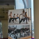 핏합댄스(수) 이미지