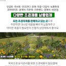 연원조경