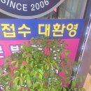 아우레아커피 이미지