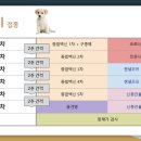 송도 종합 동물병원 이미지