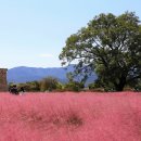 주식회사 바로팩토리 이미지