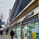 티모 | 서울 종로5가 약국 성지 보령약국, 온유약국 내돈내산 후기 (케라티모, 지르텍, 타이레놀)