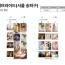 로지헤어공방 | 부천 소풍웨딩홀 홀패키지 연계 스튜디오 비교 총정리