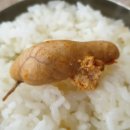 동아리동태찜탕 이미지