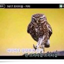 니나노 이미지