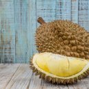 두리안 이미지
