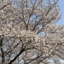 수운근린공원 이미지