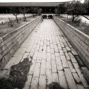 녹산사슴 이미지