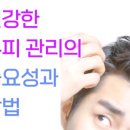 더함뷰티 네이버블로그