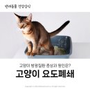 금릉동물의료센터 네이버블로그