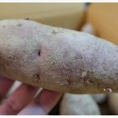 현중농장 이미지