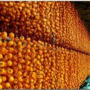 씨없는곶감마을 이미지