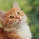 아이퍼스트치과병원 이미지