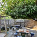 사우나(sauna) 이미지