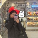 스위치완도점