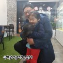 미스터브리더 | 비숑프리제&amp;실버푸들 두아이의 가족분들 분양후기