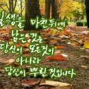 포미 이미지