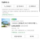 티에스여행사 이미지