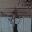 스테이(D) 이미지