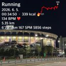 전일카 | 광주 캠핑카 로드트립 2박 3일 여행기(feat. 광주기아...삼성라이온즈, 궁전제과, 전일빌딩, 광주천 러닝)