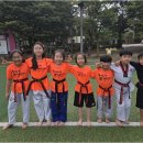 용인대 부부태권도장 이미지