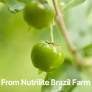 올비타민 이미지