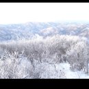 태백산 눈꽃 산행 안내 1월27일 (일요일 ) 이미지