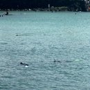 판포바람 이미지