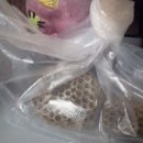 로하스농장 이미지