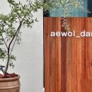 애월담아 이미지