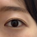 고강초 | 부천 속눈썹펌 잘하는곳 추천 | 머디데이 자연스러운 컬 후기