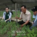 청산농협하나로마트 이미지