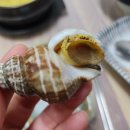 포항 연일 맛집 복바다 회정식 잘나오는 개별룸 횟집
