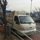 올리브 애견 이미지