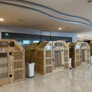 김포 스프링 스파 이미지